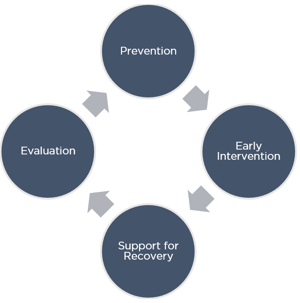 A cycle showing prevention, early intervention, support for recovery and evaluation